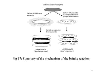 Fig 17: Summary of the mechanism of the bainite reaction.
41
 