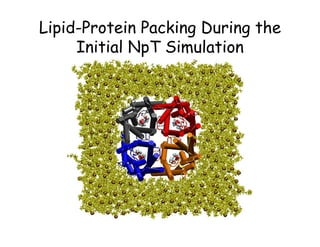 Lipid-Protein Packing During the
     Initial NpT Simulation
 