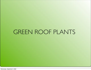 GREEN ROOF PLANTS




Wednesday, September 9, 2009
 