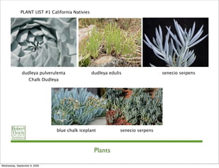 PLANT LIST #1 California Nativies




               dudleya pulverulenta               dudleya edulis                 senecio serpens
                    Chalk Dudleya




                                blue chalk iceplant            senecio serpens



                                                   Plants

Wednesday, September 9, 2009
 