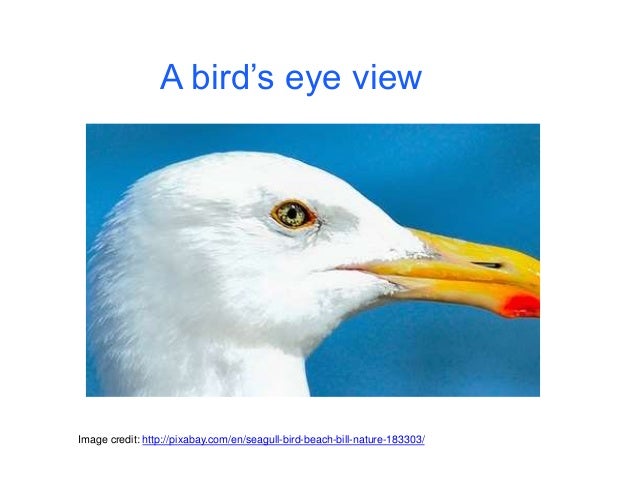 Nature S Questioning Analysis Nature S Questioning Analysis