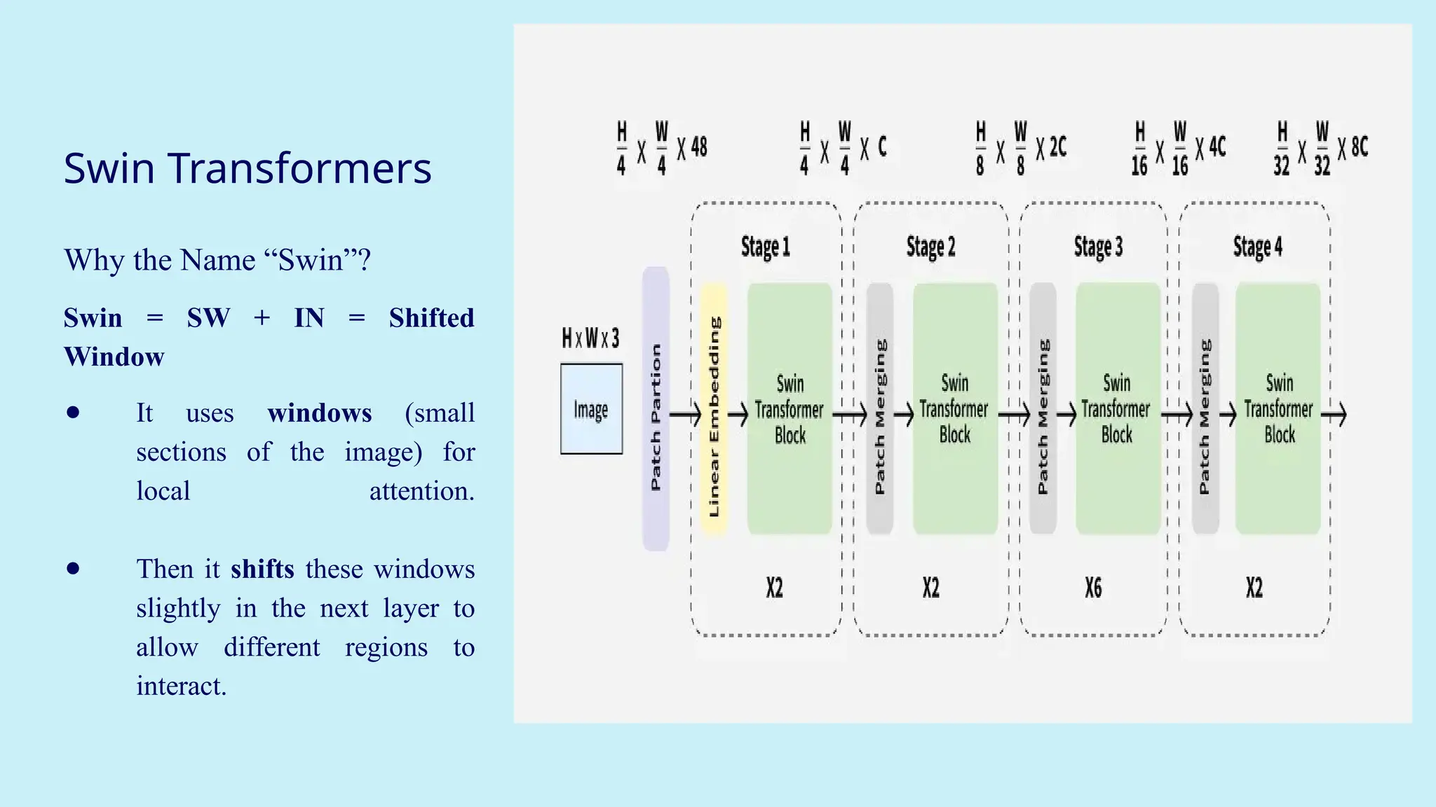 Swin Transformers
Why the Name “Swin”?
Swin = SW + IN = Shifted
Window
● It uses windows (small
sections of the image) for
local attention.
● Then it shifts these windows
slightly in the next layer to
allow different regions to
interact.
 
