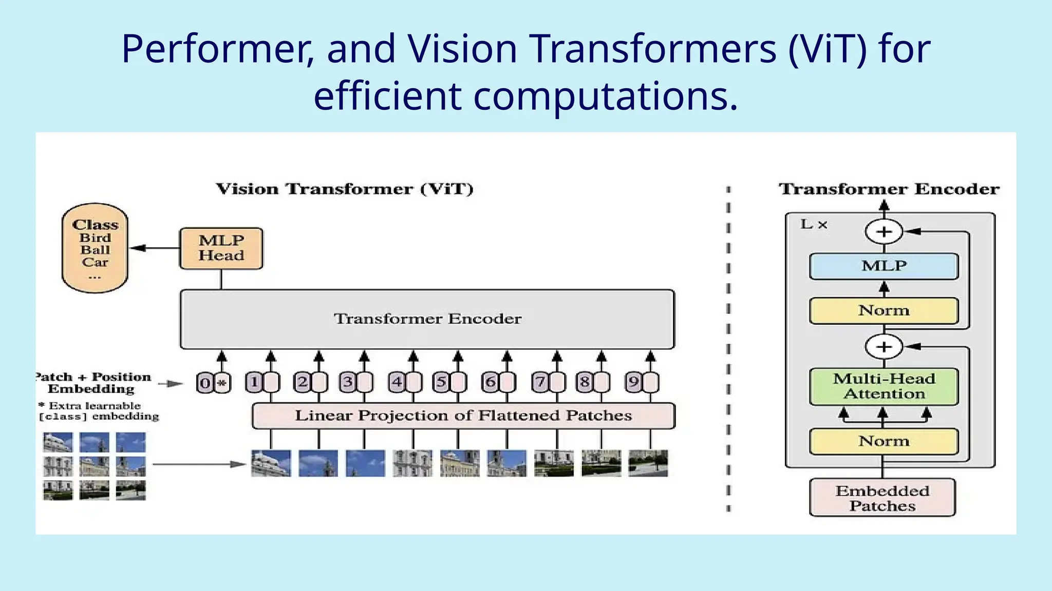 Performer, and Vision Transformers (ViT) for
efficient computations.
 