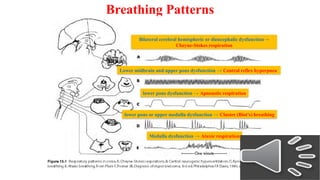 Atxic Respiratory Pattern part 2 general examination & part 3-A Higher brain functions 2024.pptx