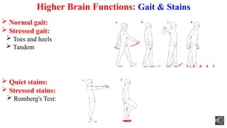 part 2 general examination & part 3-A Higher brain functions 2024.pptx
