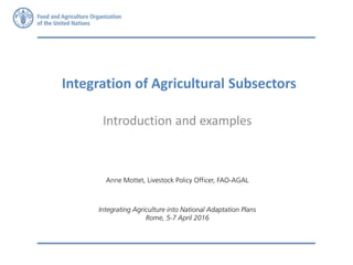 Integration of Agricultural Subsectors
Introduction and examples
 