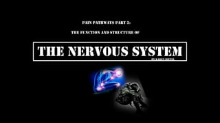 The Nervous System
pain pathways Part 2:
the Function and structure of
By Karen Riffel
 