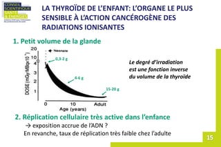 Le degré d’irradiation
est une fonction inverse
du volume de la thyroïde
15-20 g
4-6 g
0,3-2 g
1. Petit volume de la gland...
