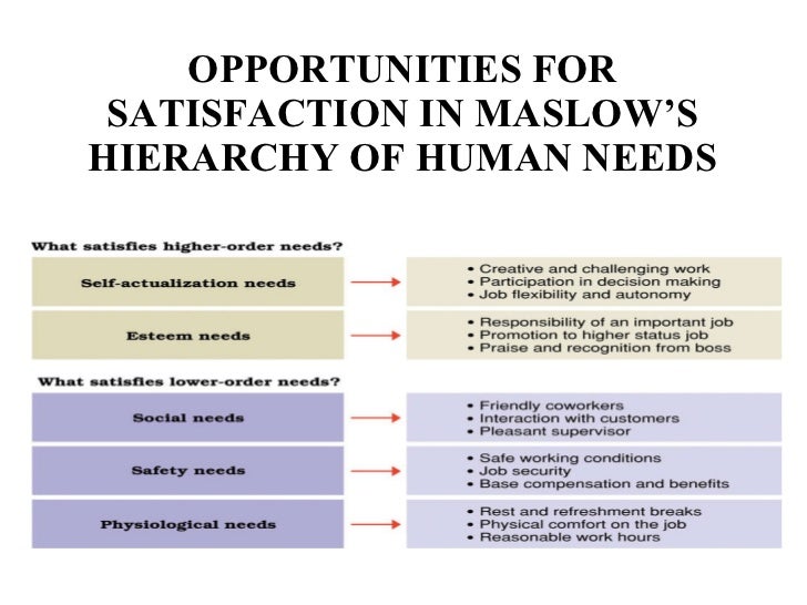My position in maslows hierarchy of needs essay
