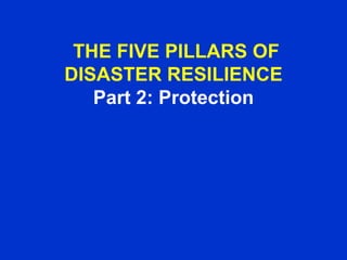 THE FIVE PILLARS OF
DISASTER RESILIENCE
Part 2: Protection

 