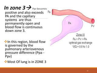 In zone 3 Ppv becomes
positive and also exceeds
PA and the capillary
systems are thus
permanently open and
blood flow is continuous
down zone 3.
In this region, blood flow
is governed by the
pulmonary arteriovenous
pressure difference (Ppa -
Ppv)
Most Of lung is in ZONE 3
12
 