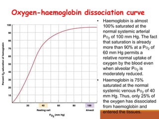 Oxygen-haemoglobin dissociation curve
• Haemoglobin is almost
100% saturated at the
normal systemic arterial
PO2 of 100 mm Hg. The fact
that saturation is already
more than 90% at a PO2 of
60 mm Hg permits a
relative normal uptake of
oxygen by the blood even
when alveolar PO2 is
moderately reduced.
• Haemoglobin is 75%
saturated at the normal
systemic venous PO2 of 40
mm Hg. Thus, only 25% of
the oxygen has dissociated
from haemoglobin and
entered the tissues.
 