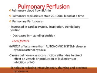 Pulmonary PerfusionPulmonary blood flow-5L/min
Pulmonary capillaries contain 70-100ml blood at a time
 Pulmonary Perfusion is-
- Increased in-cardiac systole, inspiration, trendelburg
position
- Decreased in – standing position
Local factors-
HYPOXIA affects more than AUTONOMIC SYSTEM- alveolar
hypoxia>arterial hypoxia
-Causes pulmonary vasoconstriction either due to direct
effect on vessels or production of leukotriens or
inhibition of NO
-it helps in reducing intrapulmonary shunting and prevents
hypoxemia
 