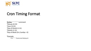 Part 2 Shell Scripting and Process management.pptx