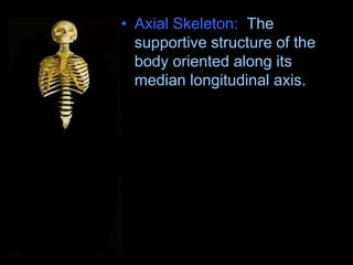 • Axial Skeleton: The
supportive structure of the
body oriented along its
median longitudinal axis.
• Appendicular Skeleton:
Attaches to something, the
extremities.
 