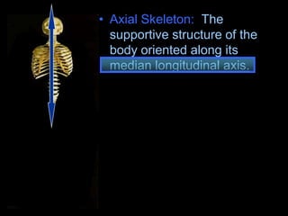 • Axial Skeleton: The
supportive structure of the
body oriented along its
median longitudinal axis.
• Appendicular Skeleton:
Attaches to something, the
extremities.
 