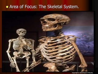  Area of Focus: The Skeletal System.
Copyright © 2010 Ryan P. Murphy
 