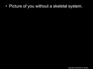 • Picture of you without a skeletal system.
Copyright © 2010 Ryan P. Murphy
 