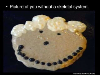 • Picture of you without a skeletal system.
Copyright © 2010 Ryan P. Murphy
 