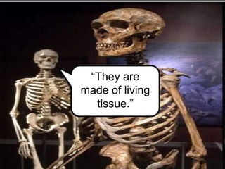 “They are
made of living
tissue.”
 