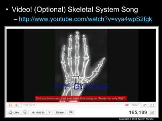 • Video! (Optional) Skeletal System Song
– http://www.youtube.com/watch?v=vya4wpS2fgk
Copyright © 2010 Ryan P. Murphy
 