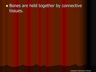  Bones are held together by connective
tissues.
Copyright © 2010 Ryan P. Murphy
 