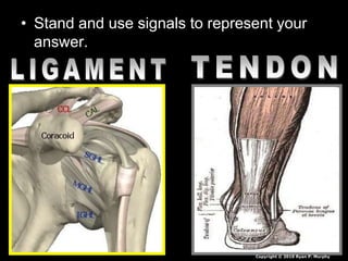 • Stand and use signals to represent your
answer.
Copyright © 2010 Ryan P. Murphy
 