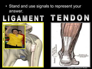 • Stand and use signals to represent your
answer.
Copyright © 2010 Ryan P. Murphy
 
