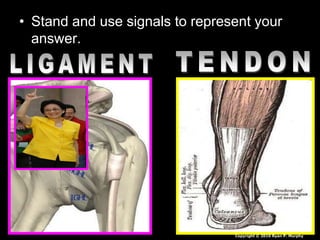 • Stand and use signals to represent your
answer.
Copyright © 2010 Ryan P. Murphy
 