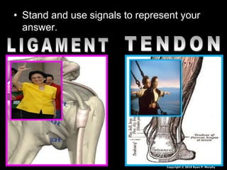 • Stand and use signals to represent your
answer.
Copyright © 2010 Ryan P. Murphy
 