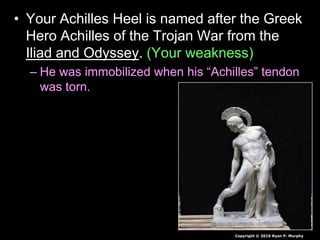 • Your Achilles Heel is named after the Greek
Hero Achilles of the Trojan War from the
Iliad and Odyssey. (Your weakness)
– He was immobilized when his “Achilles” tendon
was torn.
Copyright © 2010 Ryan P. Murphy
 