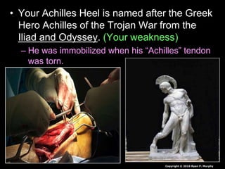 • Your Achilles Heel is named after the Greek
Hero Achilles of the Trojan War from the
Iliad and Odyssey. (Your weakness)
– He was immobilized when his “Achilles” tendon
was torn.
Copyright © 2010 Ryan P. Murphy
 
