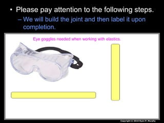 • Please pay attention to the following steps.
– We will build the joint and then label it upon
completion.
Copyright © 2010 Ryan P. Murphy
Eye goggles needed when working with elastics.
 