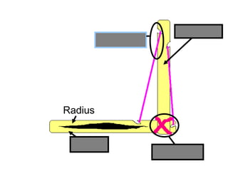 Humerus
Radius
Ulna
Ligament
Tendon
Copyright © 2010 Ryan P. Murphy
 