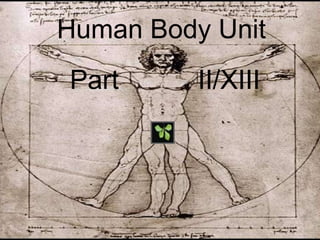 Human Body Unit
Part II/XIII
 