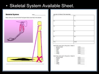 • Skeletal System Available Sheet.
 