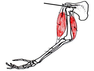 Copyright © 2010 Ryan P. Murphy
 