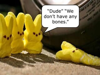 “Dude” “We
don’t have any
bones.”
 