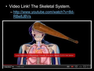 • Video Link! The Skeletal System.
– http://www.youtube.com/watch?v=8d-
RBe8JBVs
 