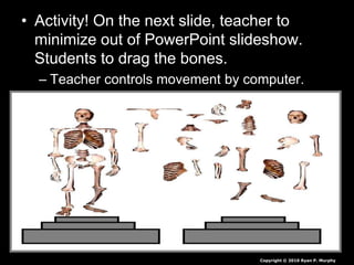 • Activity! On the next slide, teacher to
minimize out of PowerPoint slideshow.
Students to drag the bones.
– Teacher controls movement by computer.
Copyright © 2010 Ryan P. Murphy
 