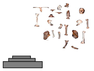 Copyright © 2010 Ryan P. Murphy
 