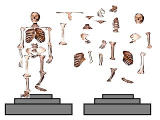 Copyright © 2010 Ryan P. Murphy
 