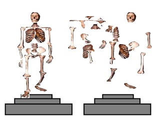 Copyright © 2010 Ryan P. Murphy
 