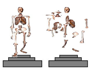 Copyright © 2010 Ryan P. Murphy
 