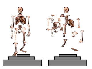 Copyright © 2010 Ryan P. Murphy
 