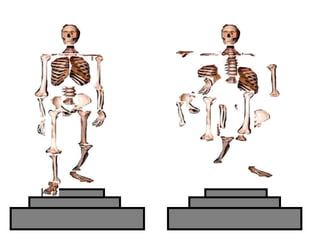 Copyright © 2010 Ryan P. Murphy
 