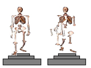 Copyright © 2010 Ryan P. Murphy
 