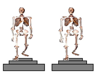 Copyright © 2010 Ryan P. Murphy
 