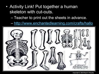 • Activity Link! Put together a human
skeleton with cut-outs.
– Teacher to print out the sheets in advance.
– http://www.enchantedlearning.com/crafts/hallo
ween/bones/
Copyright © 2010 Ryan P. Murphy
 