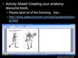 • Activity Sheet! Creating your anatomy
resource book.
– Please label all of the following. Use…
– http://www.getbodysmart.com/ap2/systems/tutori
al.html
Copyright © 2010 Ryan P. Murphy
 